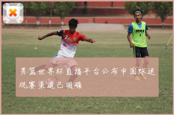 男篮世界杯直播平台公布中国球迷观赛渠道已明确