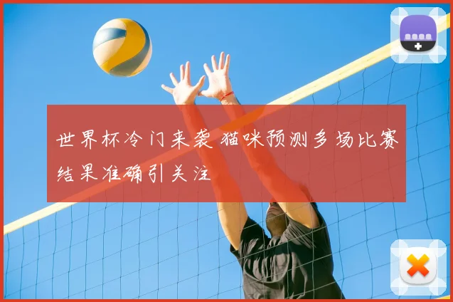 世界杯冷门来袭 猫咪预测多场比赛结果准确引关注