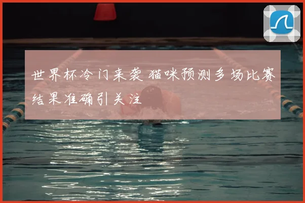 世界杯冷门来袭 猫咪预测多场比赛结果准确引关注