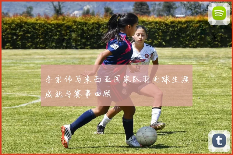 李宗伟马来西亚国家队羽毛球生涯成就与赛事回顾