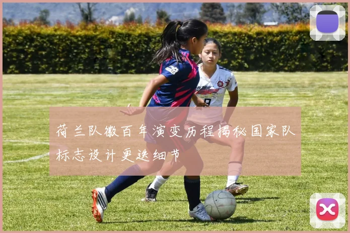 荷兰队徽百年演变历程揭秘国家队标志设计更迭细节