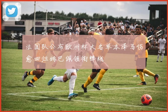 法国队公布欧洲杯大名单本泽马伤愈回归姆巴佩领衔锋线