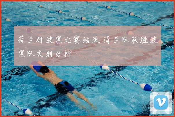 荷兰对波黑比赛结束 荷兰队获胜波黑队失利分析