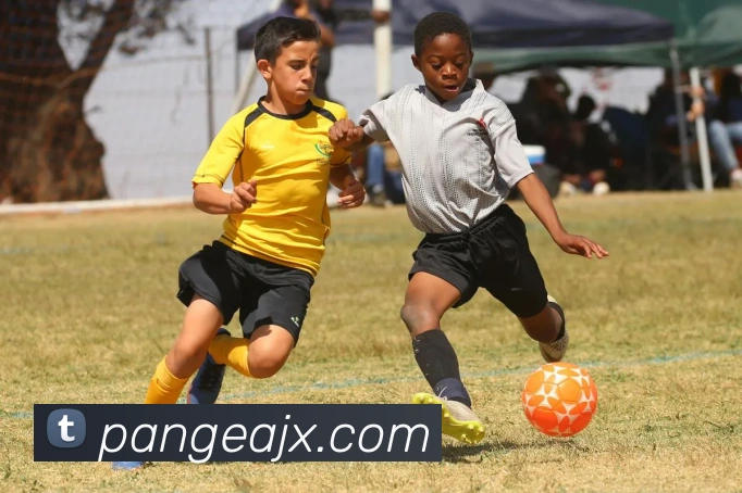 米兰app官方正版官网APP 体育赛事宣传图